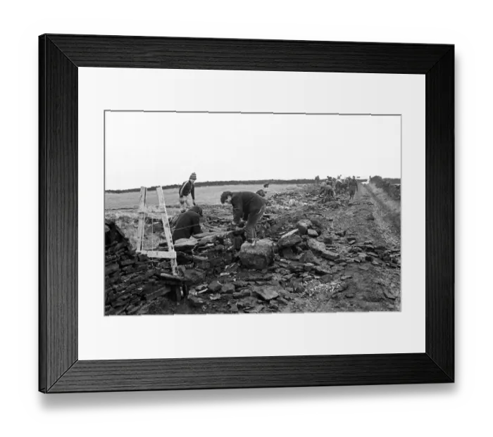 Framed Print : Colne Valley school children dry stone walling at Delves Moor Farm, Slaithwaite Framed Print : Colne Valley school children dry stone walling at Delves Moor Farm, Slaithwaite
