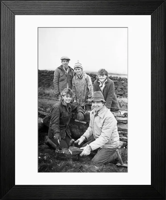 Framed Print : Colne Valley school children dry stone walling at Delves Moor Farm, Slaithwaite Framed Print : Colne Valley school children dry stone walling at Delves Moor Farm, Slaithwaite