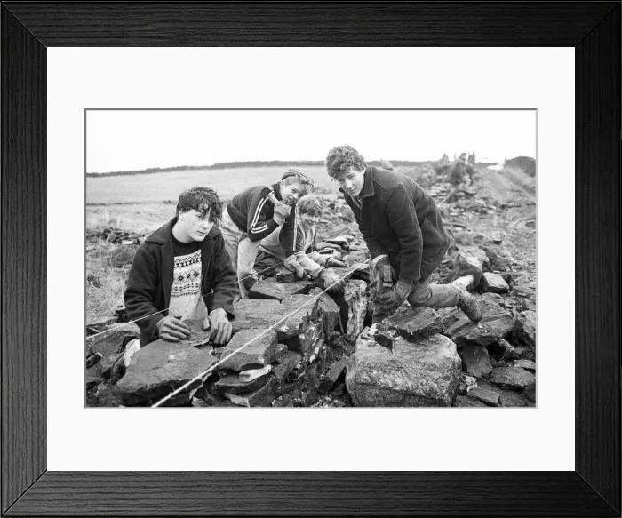 Framed Print : Colne Valley school children dry stone walling at Delves Moor Farm, Slaithwaite Framed Print : Colne Valley school children dry stone walling at Delves Moor Farm, Slaithwaite