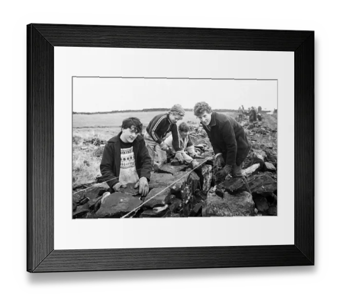 Framed Print : Colne Valley school children dry stone walling at Delves Moor Farm, Slaithwaite