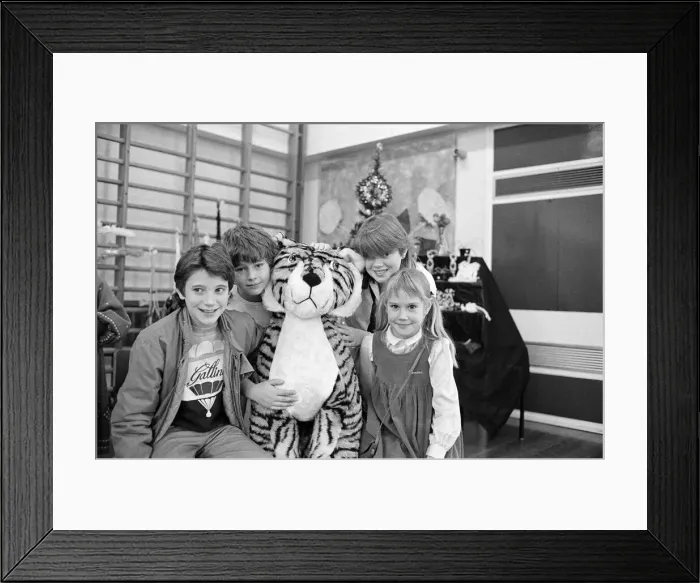 Framed Print : Upperthong Junior and Infant School support group annual fair Framed Print : Upperthong Junior and Infant School support group annual fair