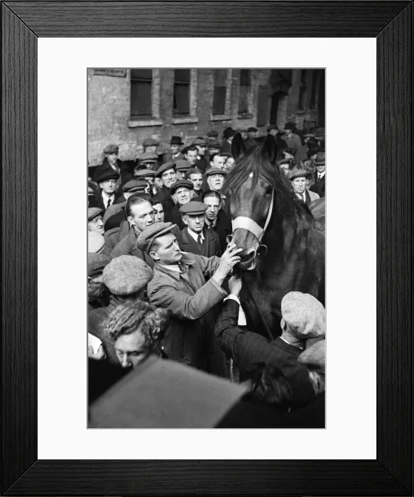 Framed Print : Cart and Van Horse Auction, New Kent Road, London, circa December 1947 Framed Print : Cart and Van Horse Auction, New Kent Road, London, circa December 1947