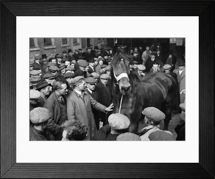 Framed Print : Cart and Van Horse Auction, New Kent Road, London, circa December 1947 Framed Print : Cart and Van Horse Auction, New Kent Road, London, circa December 1947