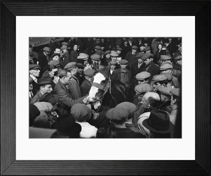 Framed Print : Cart and Van Horse Auction, New Kent Road, London, circa December 1947