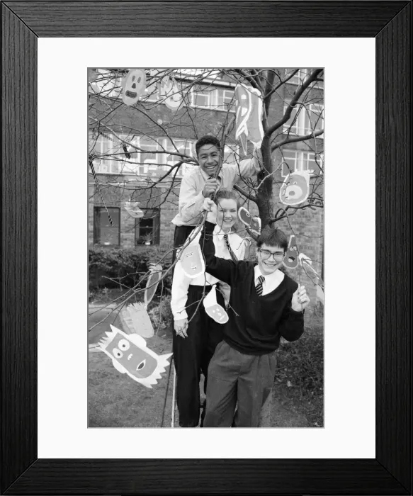 Framed Print : Almondbury High School pupils dress almond tree as part of GCSE art for National Tree Framed Print : Almondbury High School pupils dress almond tree as part of GCSE art for National Tree