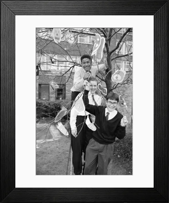 Framed Print : Almondbury High School pupils dress almond tree as part of GCSE art for National Tree Framed Print : Almondbury High School pupils dress almond tree as part of GCSE art for National Tree