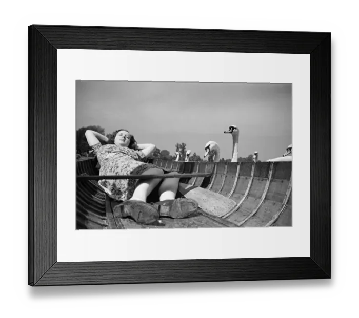 Framed Print : Swans looking at a woman asleep in a boat, on the River Thames, London, Circa 1946 Framed Print : Swans looking at a woman asleep in a boat, on the River Thames, London, Circa 1946