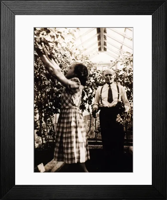 Framed Print : Bill Struth, Rangers manager in the greenhouse in which he used to grow tomatoes at Ibrox Framed Print : Bill Struth, Rangers manager in the greenhouse in which he used to grow tomatoes at Ibrox