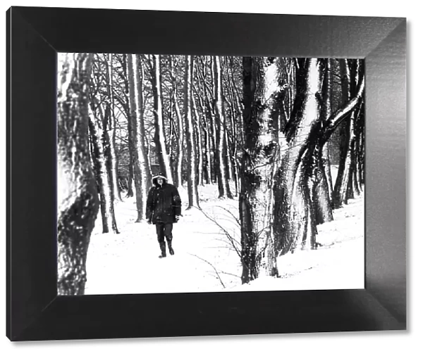 Person walking in woods. Guisborough, Middlesbrough. 28th November 1980