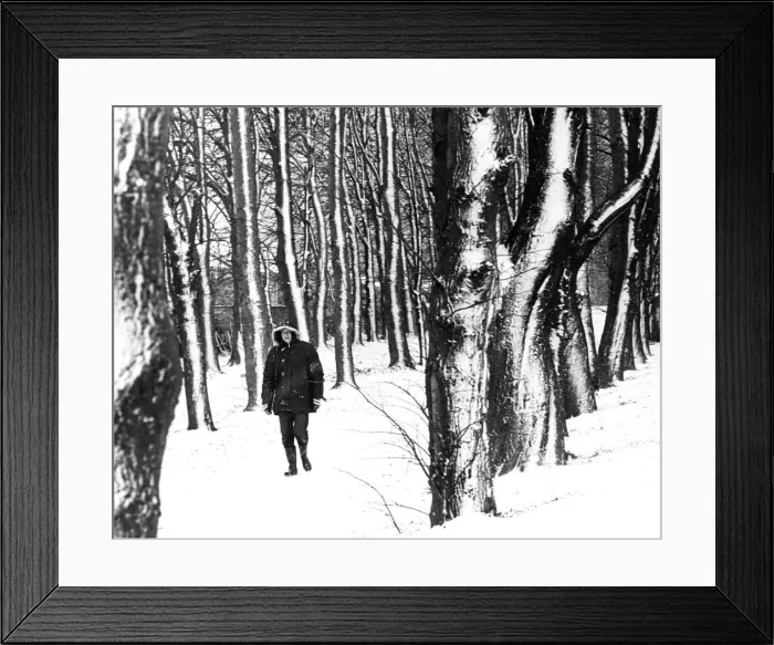 Framed Print : Person walking in woods. Guisborough, Middlesbrough. 28th November 1980 Framed Print : Person walking in woods. Guisborough, Middlesbrough. 28th November 1980