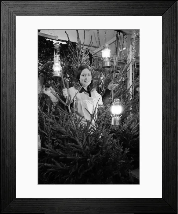 Framed Print : Christmas Trees, On Sale during blackout, being sold by candlelight, Market Hall Framed Print : Christmas Trees, On Sale during blackout, being sold by candlelight, Market Hall