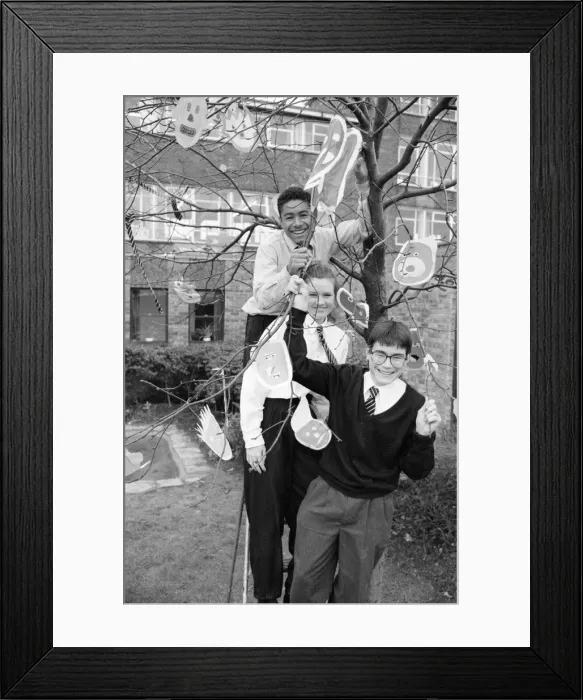 Framed Print : Almondbury High School pupils dress almond tree as part of GCSE art for National Tree Framed Print : Almondbury High School pupils dress almond tree as part of GCSE art for National Tree