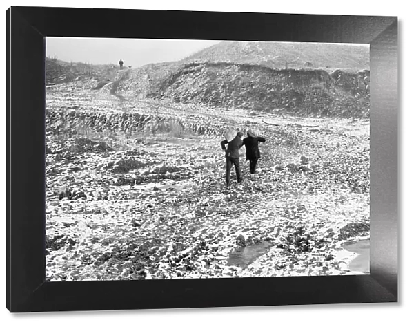 Scavenging for Coal, Hednesford, Staffordshire, Monday 31st January 1972