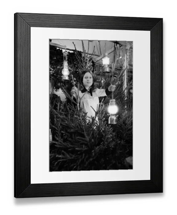 Framed Print : Christmas Trees, On Sale during blackout, being sold by candlelight, Market Hall Framed Print : Christmas Trees, On Sale during blackout, being sold by candlelight, Market Hall