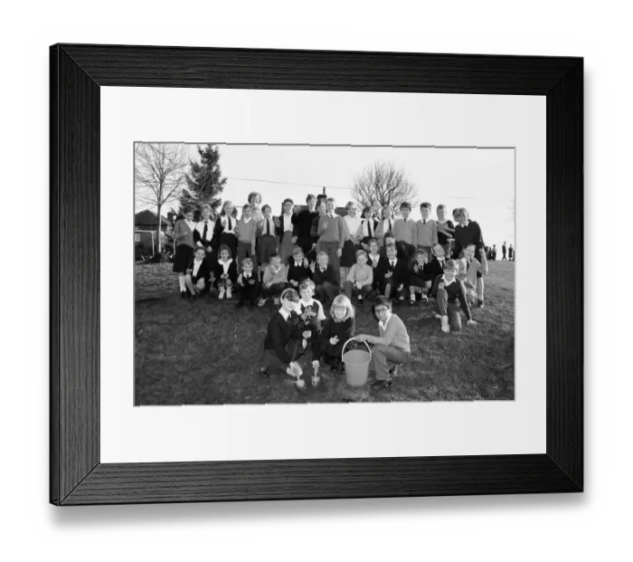 Framed Print : South Crosland CE Junior School Netherton plating bulbs on the corner of Moor Lane Framed Print : South Crosland CE Junior School Netherton plating bulbs on the corner of Moor Lane