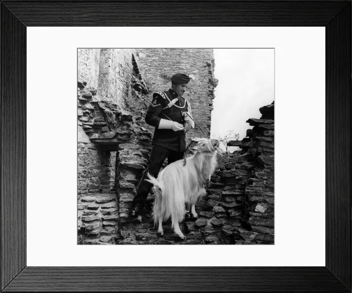 Framed Print : Waiting to take part in the display given by the Royal Welch Fusiliers at Caerphilly Framed Print : Waiting to take part in the display given by the Royal Welch Fusiliers at Caerphilly