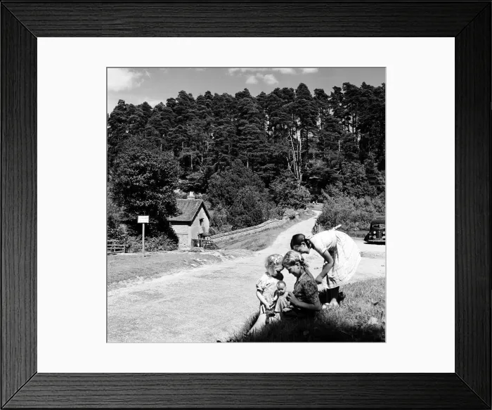 Framed Print : Children playing in the hamlet of Friday Street in Surrey. 28th August 1952 Framed Print : Children playing in the hamlet of Friday Street in Surrey. 28th August 1952