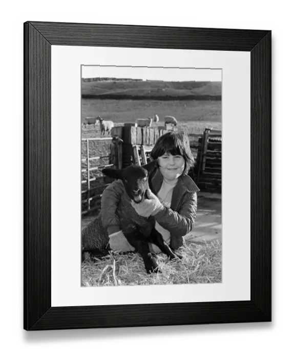Framed Print : A one month old lamb gets a cuddle from 10-year-old Heather Lawton