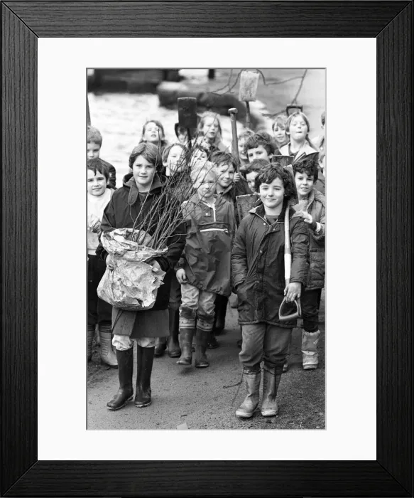 Framed Print : Pupils of Marsden Junior School lead the tree-planting army