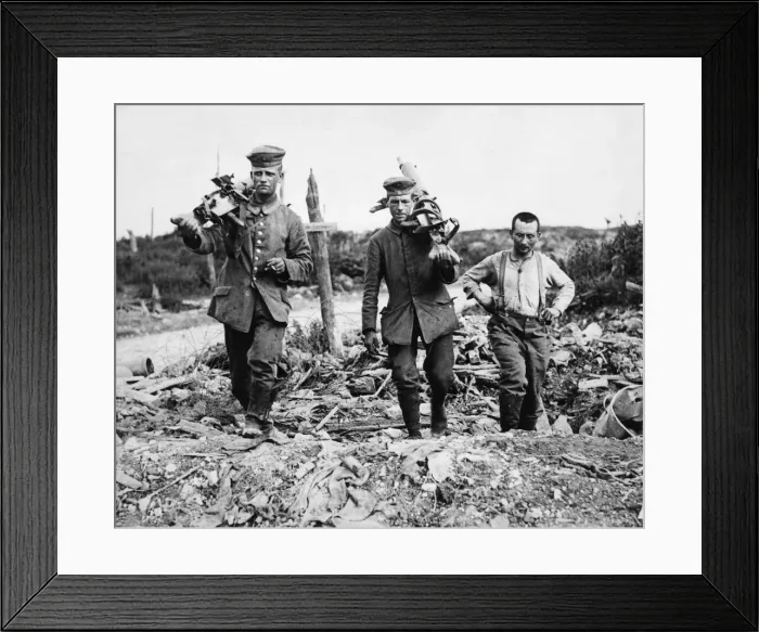 Framed Print : Captured German machine gunners carrying their guns following the Battle of Messines