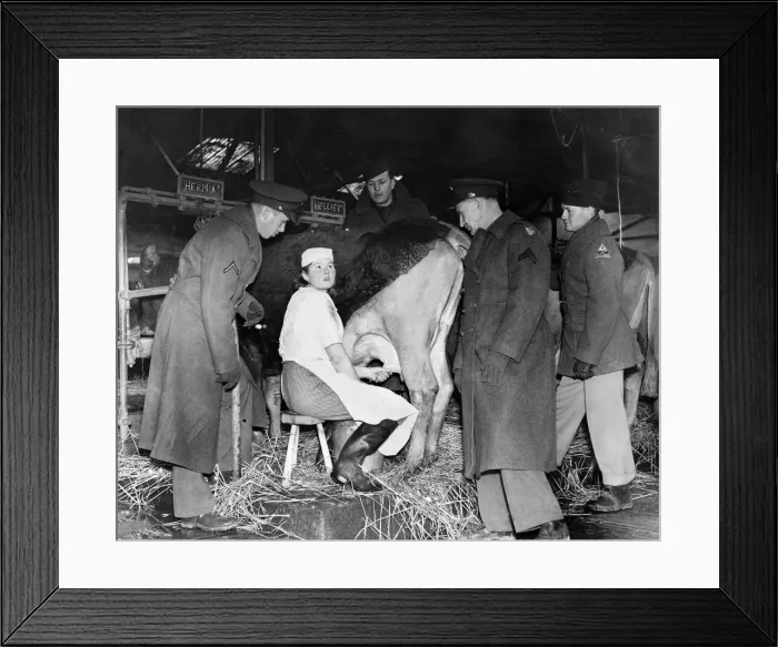 Framed Print : American soldiers, farmers in peacetime, take a week Framed Print : American soldiers, farmers in peacetime, take a week