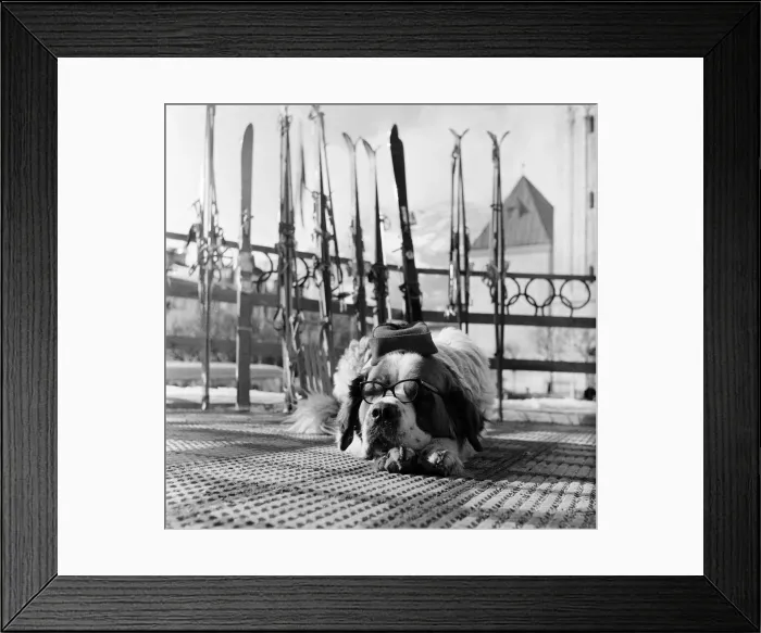 Framed Print : 1956 Winter Olympic Games, Cortina d Ampezzo, Italy, Feature, 28th January 1956 Framed Print : 1956 Winter Olympic Games, Cortina d Ampezzo, Italy, Feature, 28th January 1956