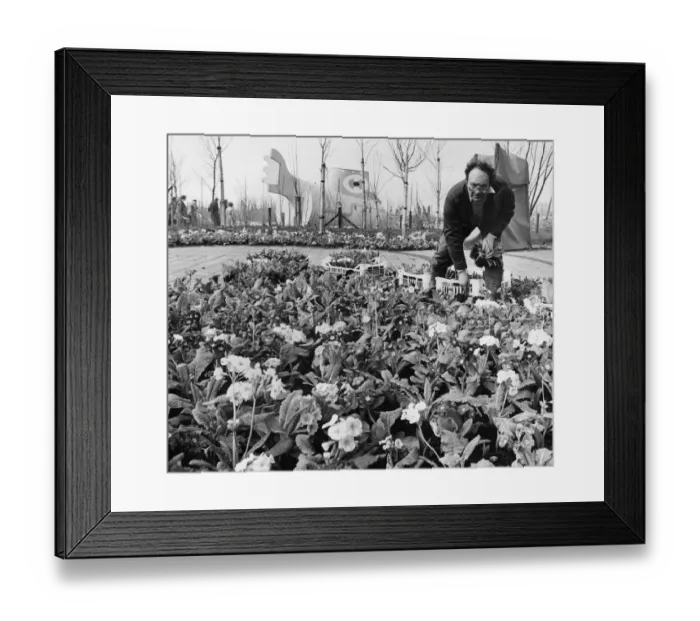 Framed Print : Liverpools International Garden Festival 23rd March 1984 Bill Hughes of Crosby