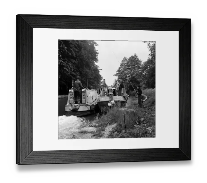 Framed Print : Views along the Grand Union Canal, in Hertfordshire. 19th June 1954