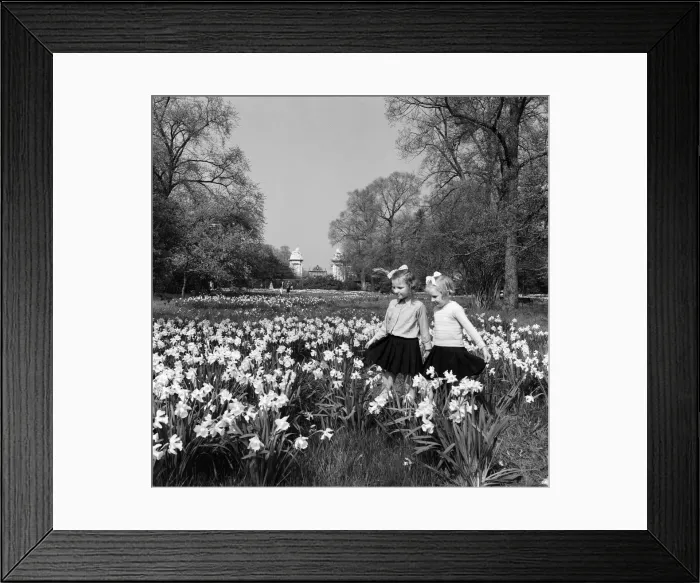Framed Print : Children playing outside Hampton Court Palace, London (formerly Middlesex) Framed Print : Children playing outside Hampton Court Palace, London (formerly Middlesex)