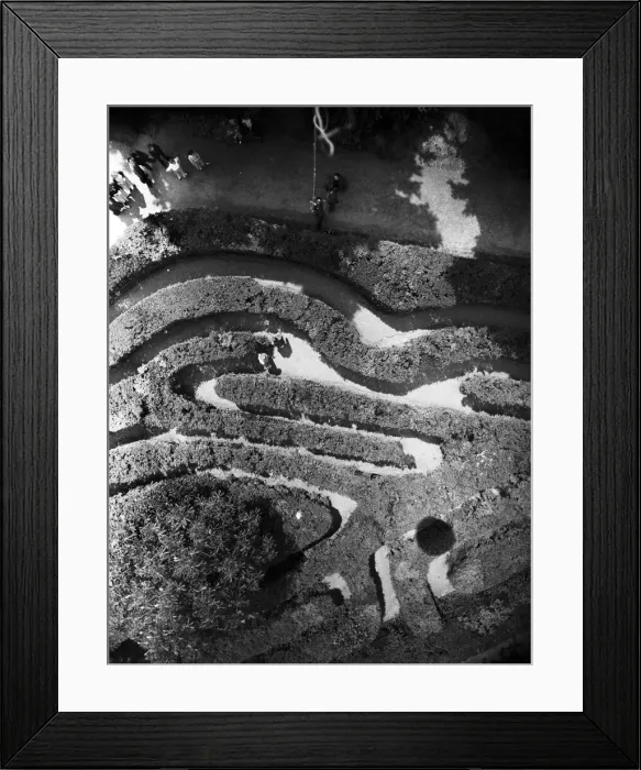 Framed Print : Hampton Court Maze, photographed from a camera attached to a Met Balloon Framed Print : Hampton Court Maze, photographed from a camera attached to a Met Balloon