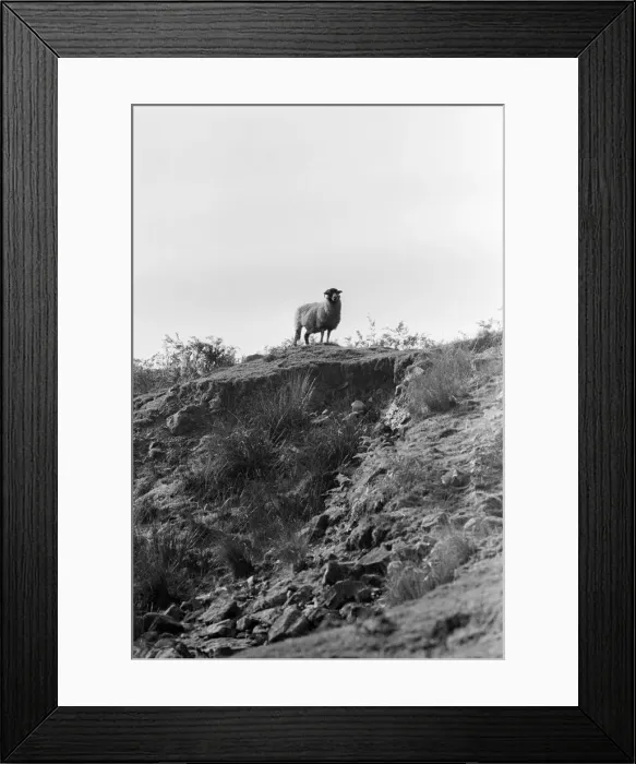 Framed Print : Yorkshire Dales, Sunday 24th October 1982
