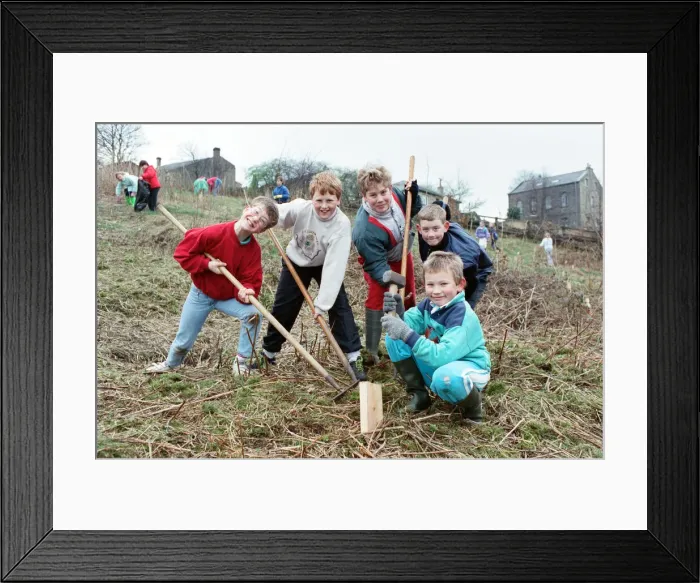 Framed Print : Getting to the root of the problem... are, from the left, 11-year-olds: Steven Baines Framed Print : Getting to the root of the problem... are, from the left, 11-year-olds: Steven Baines