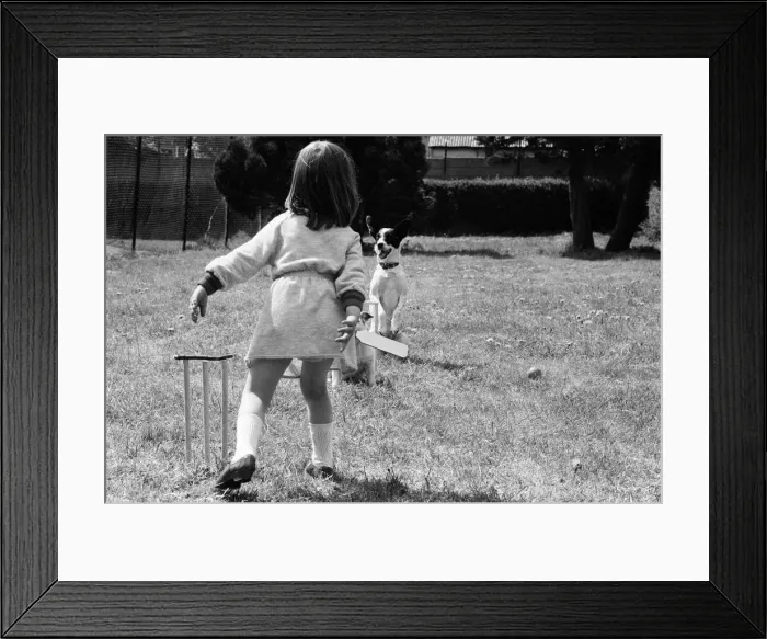 Framed Print : Dogs that work during the weekend busking in London