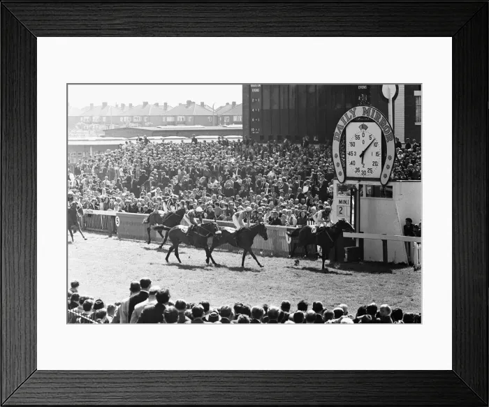 Framed Print : Song of the Sea ridden by Willie Carson crossing the line to win the 1971 Andy Capp Framed Print : Song of the Sea ridden by Willie Carson crossing the line to win the 1971 Andy Capp