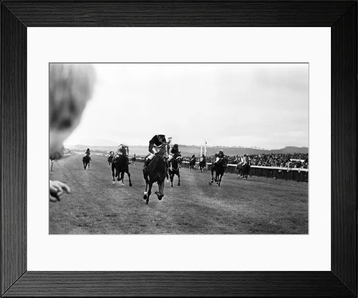 Framed Print : Runners and riders in the Daily Mirror Womens Race gallop the final furlongs to Framed Print : Runners and riders in the Daily Mirror Womens Race gallop the final furlongs to