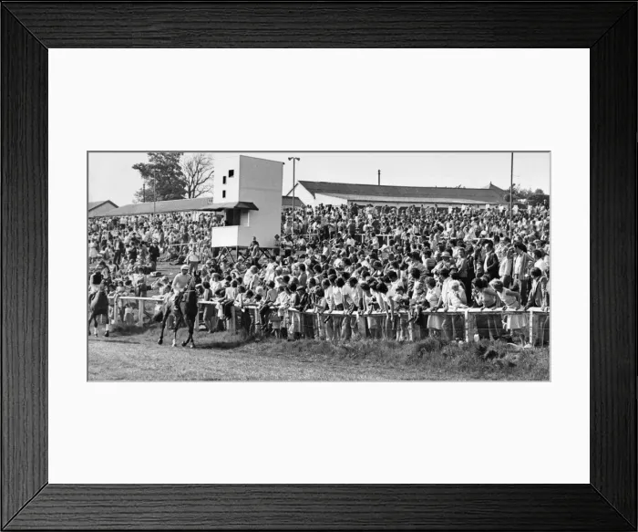Framed Print : Horses and jockeys trot to the start watched by anxious race-goers at Hexham Racecourse Framed Print : Horses and jockeys trot to the start watched by anxious race-goers at Hexham Racecourse