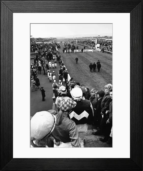 Framed Print : The horses and jockeys for the Daily Mirror Womens Race are parade before the grandstand Framed Print : The horses and jockeys for the Daily Mirror Womens Race are parade before the grandstand