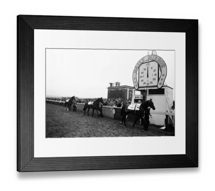 Framed Print : Runners in the Andy Capp Handdicap are paraded past the finishing post lead by So Royal Framed Print : Runners in the Andy Capp Handdicap are paraded past the finishing post lead by So Royal