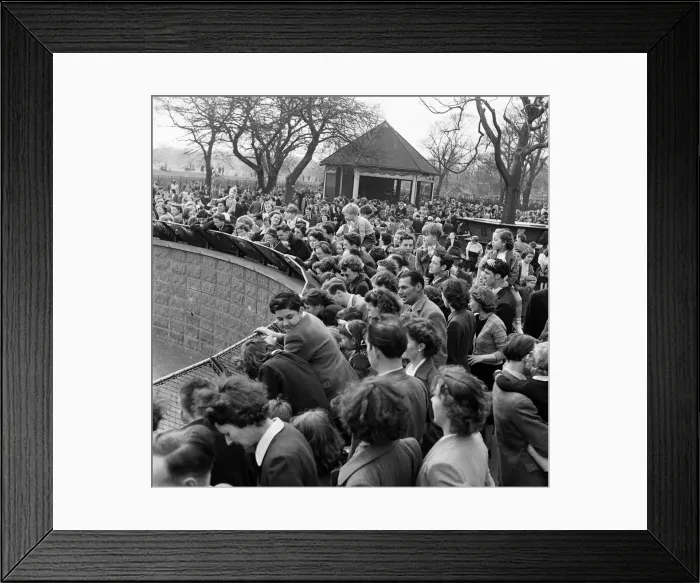 Framed Print : Easter Crowds at London Zoo. April 1952 Framed Print : Easter Crowds at London Zoo. April 1952