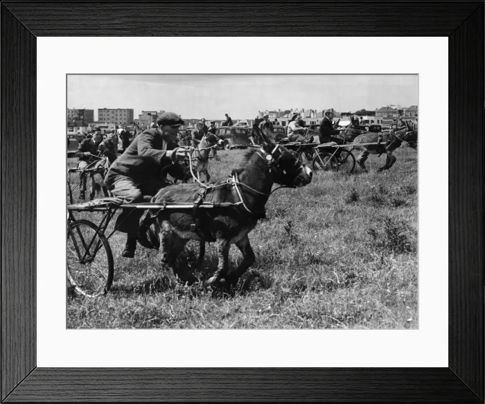 Framed Print : Mokes day out'. Far from sitting down on the job