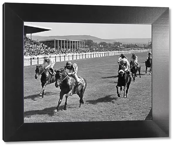 Abercata, ridden by Richard Fox races home to win the Zetland Gold Cup at Redcar