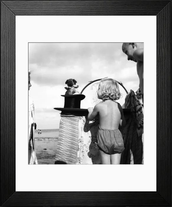 Framed Print : Punch and Judy Show. Making his debut is 2 month old dog Toby