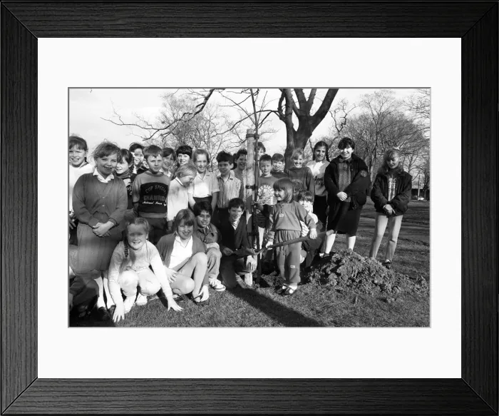 Framed Print : From little acorns grow... handling a rather large shovel is little Stephanie Rose, four Framed Print : From little acorns grow... handling a rather large shovel is little Stephanie Rose, four