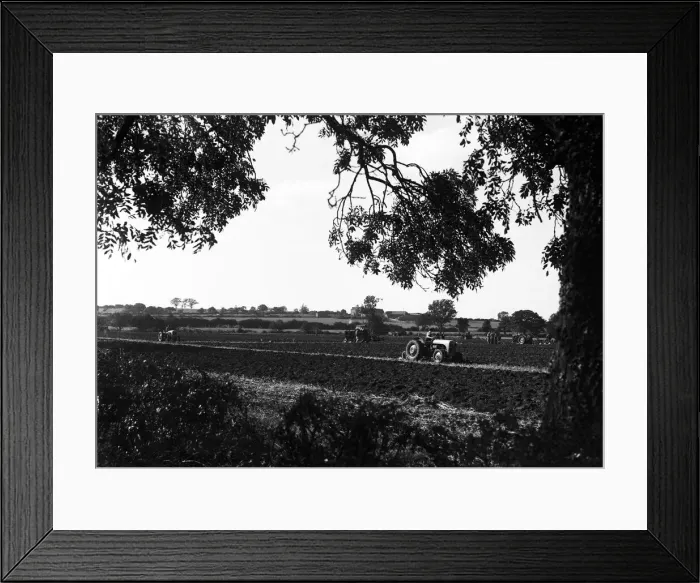 Framed Print : Farmers on their Ferguson TE tractors competing in the Forest of Arden ploughing match