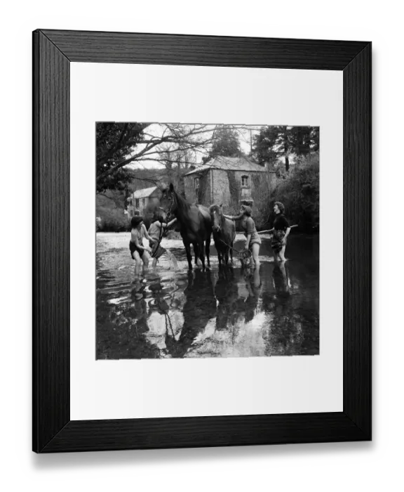 Framed Print : Girls washing horses at Notter Farm, Cornwall. 28th April 1952 Framed Print : Girls washing horses at Notter Farm, Cornwall. 28th April 1952
