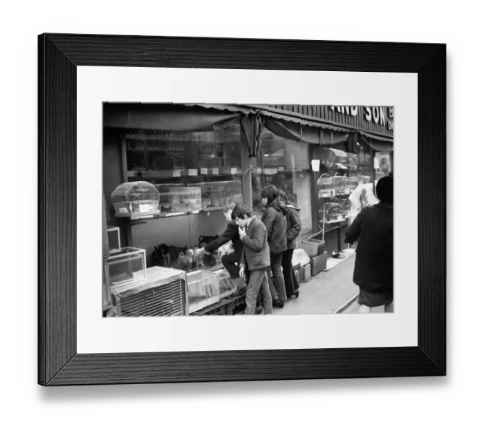 Framed Print : Condemned dogs at the Manchester dogs home Collyhurst, Manchester, Greater Manchester