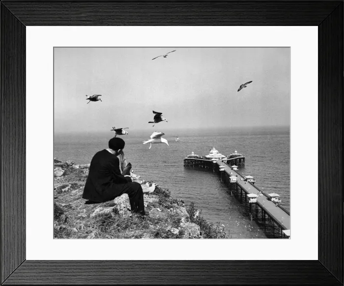 Framed Print : Llandudno, Caernavonshire in Wales. Pler and Gulls. October 1936 P009294 Framed Print : Llandudno, Caernavonshire in Wales. Pler and Gulls. October 1936 P009294