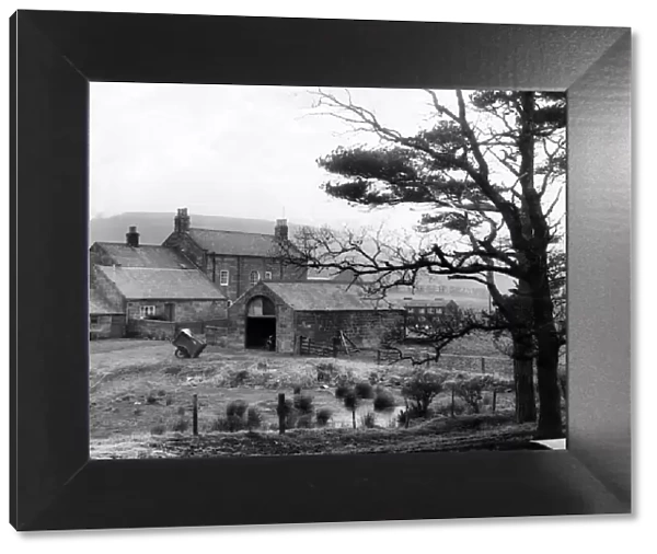 Airy Holme farm and Roseberry Topping in Great Ayton. Circa 1960s