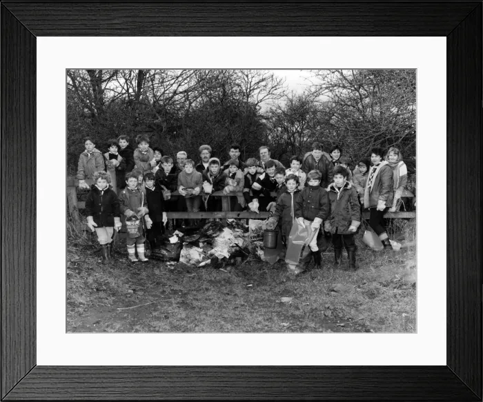 Framed Print : Litter conscious cubs have been helping pick clean a rubbish blighted town park in Framed Print : Litter conscious cubs have been helping pick clean a rubbish blighted town park in