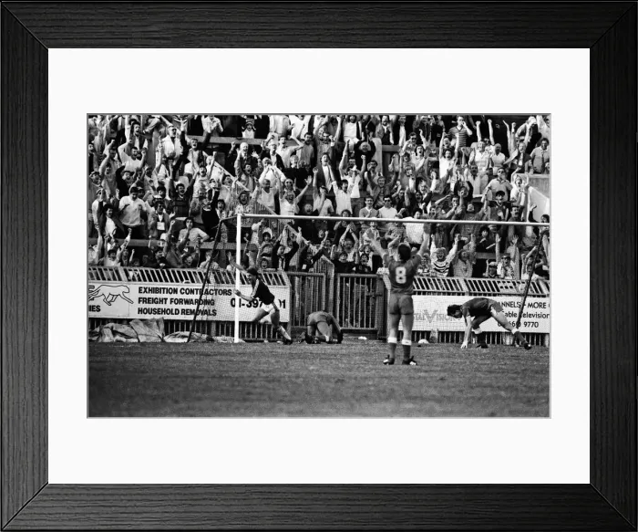 Framed Print : English League Division One match at Selhurst park. Charlton Athletic 3 v. Everton 2